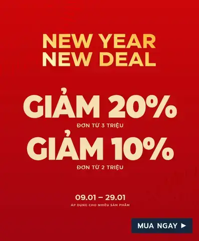 Top 10 Shop Mua Giày Thể Thao Nam Đẹp, Hàng Hiệu & Giá Tốt Nhất Top 10 Shop Mua Giày Thể Thao Nam Đẹp, Hàng Hiệu & Giá Tốt Nhất