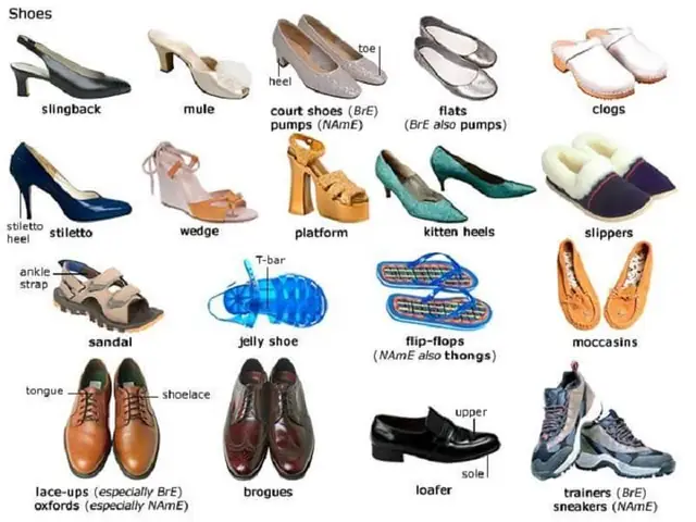 Tổng Hợp Từ Vựng & Mẫu Câu Tiếng Anh Giao Tiếp Trong Ngành Giày Dép