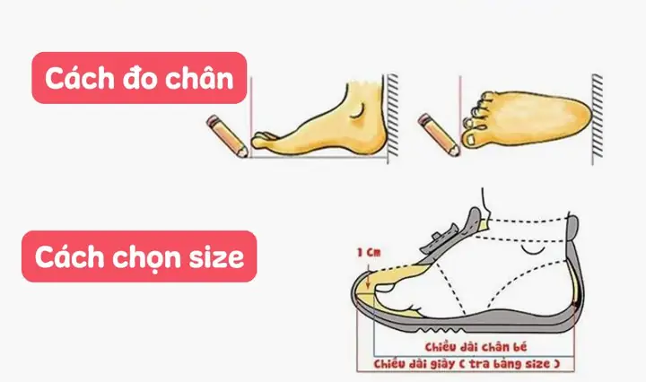 Hướng Dẫn Chi Tiết Cách Đo Chân Chọn Size Giày Chuẩn Cho Bé Tại Nhà Hướng Dẫn Chi Tiết Cách Đo Chân Chọn Size Giày Chuẩn Cho Bé Tại Nhà