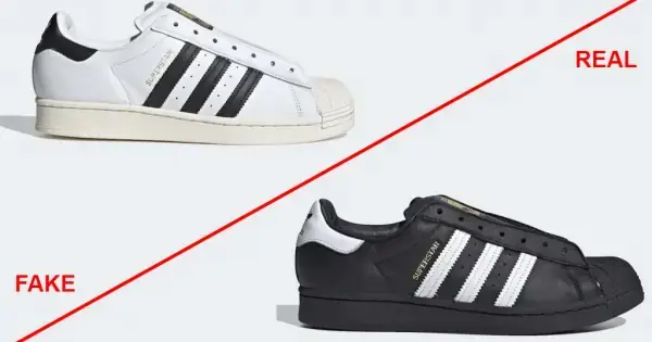 17+ Cách Phân Biệt Giày Adidas Và Nike Chính Hãng, Chuẩn Xác Nhất
