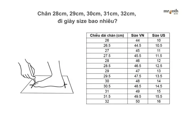 Chân Dài 28cm Đi Giày Size Bao Nhiêu? Hướng Dẫn Chọn Chuẩn Xác