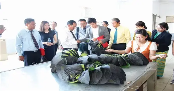10 Doanh Nghiệp Tiền Thân Từ Sản Xuất Giày Cao Su: Hành Trình Phát Triển Tại Việt Nam