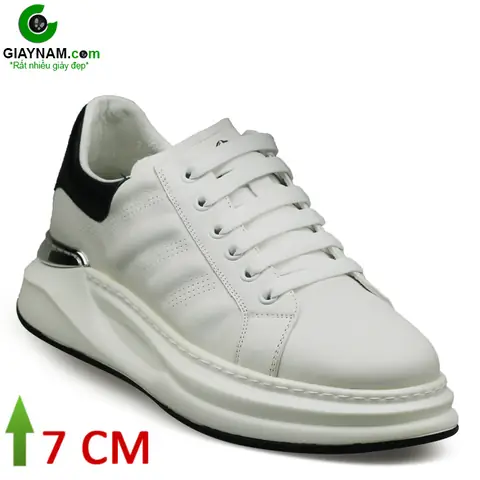 Giày Thể Thao Nam Đế Cao Màu Trắng: Kiểu Dáng & Lưu Ý Chọn Mua Giày Thể Thao Nam Đế Cao Màu Trắng: Kiểu Dáng & Lưu Ý Chọn Mua